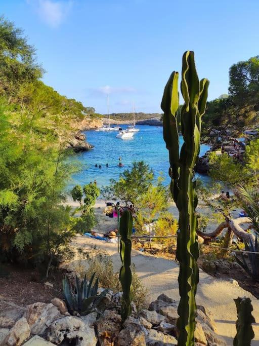 Tranquilo Apartamento Con Vistas Al Mar. بورت ذالكوذيا المظهر الخارجي الصورة