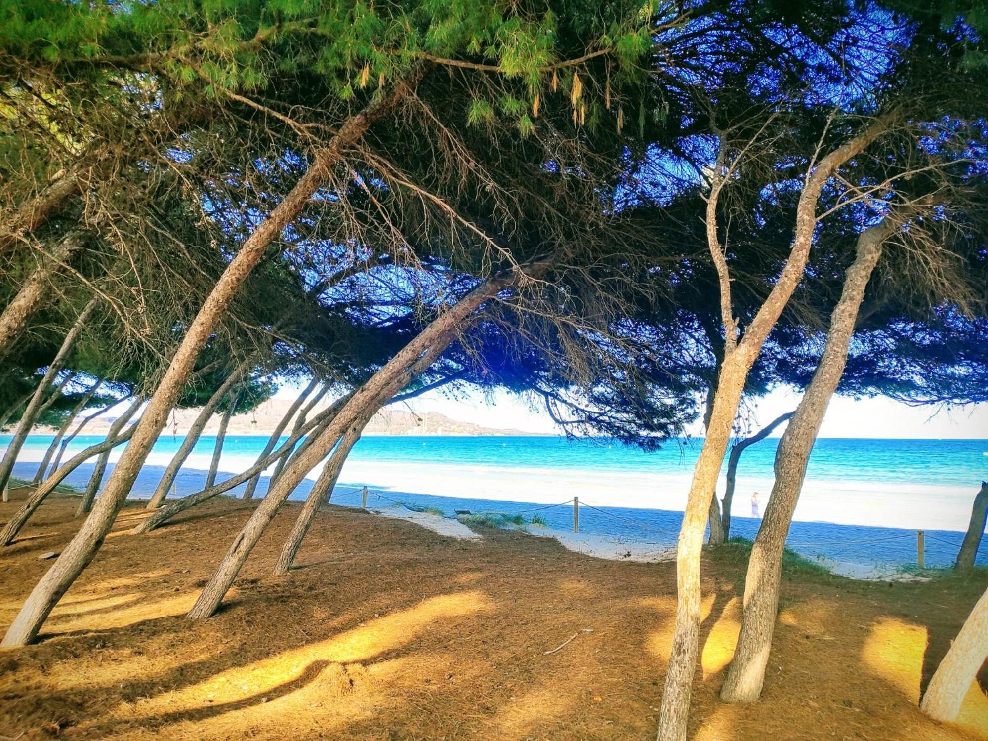 Tranquilo Apartamento Con Vistas Al Mar. بورت ذالكوذيا المظهر الخارجي الصورة